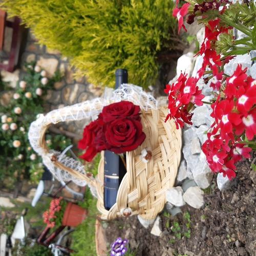 Photo #4943484
