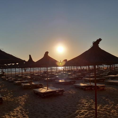 Photo #4943485