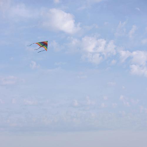 Photo #4943704
