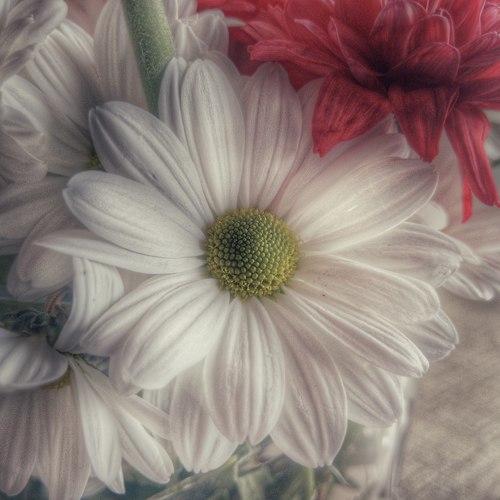 Photo #4944040