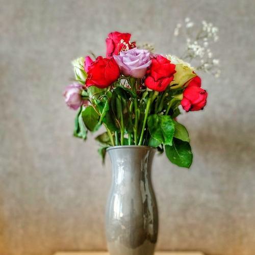 Photo #4944129