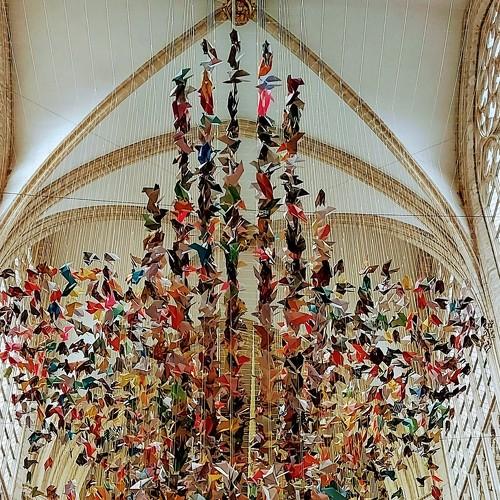 Photo #4944679