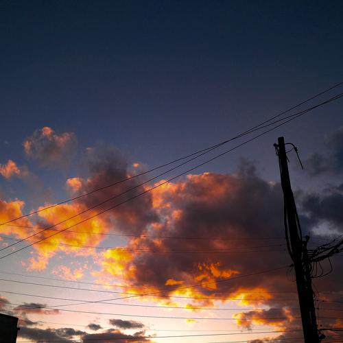 Cables