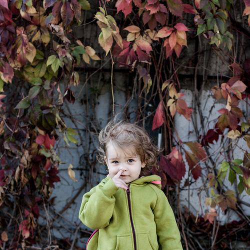 Photo #4945274