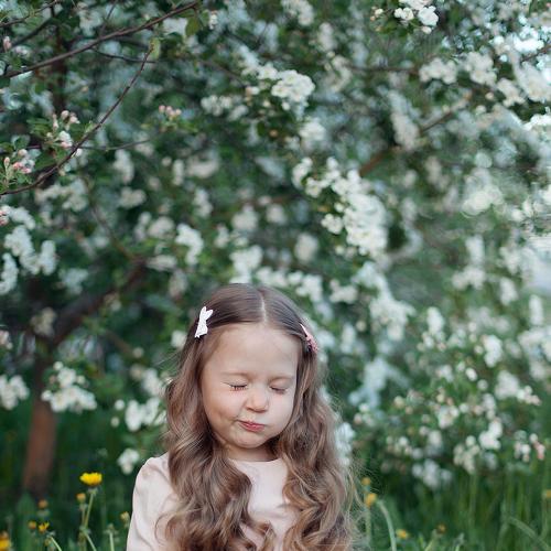 Photo #4945674