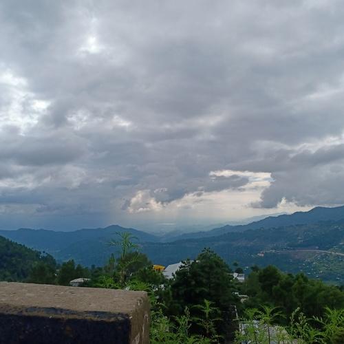 Photo #4945675