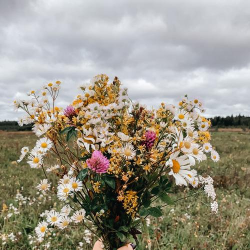 Photo #4945855