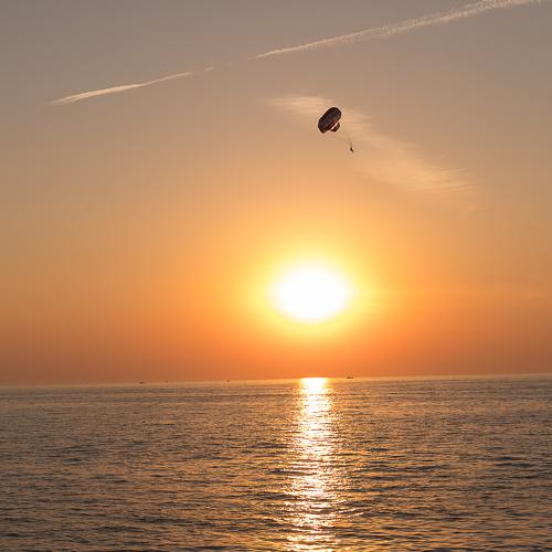 Photo #4945947