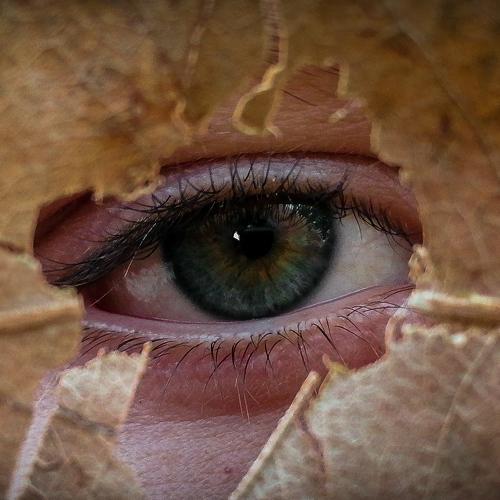 A través de la naturaleza