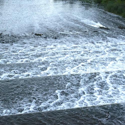 Photo #4946383