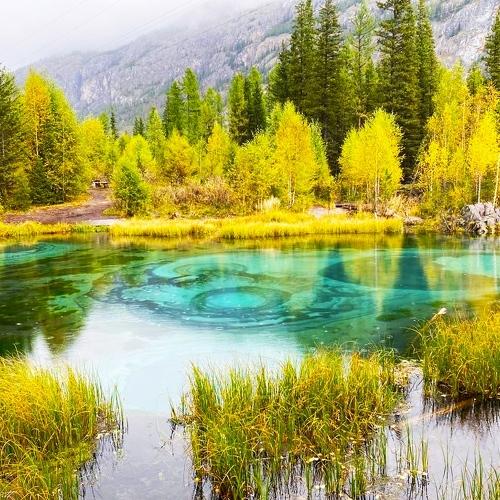 Photo #4946621