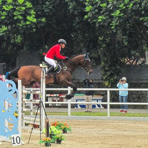 Photo #4946978
