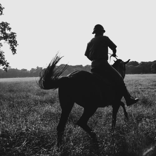 Mounted Police