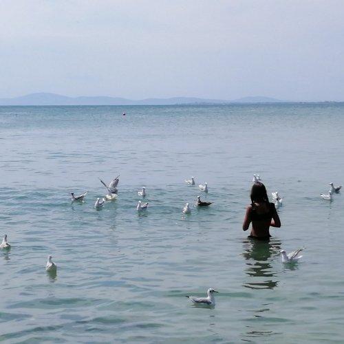 Photo #4947249