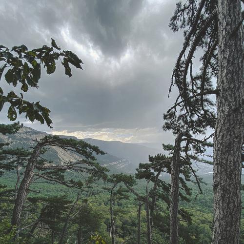 Photo #4947847