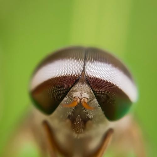 Photo #4947849