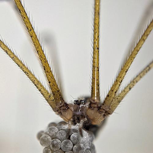 Photo #4947850
