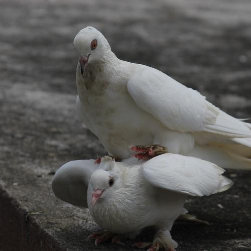 Photo #4947852