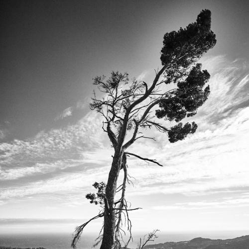 Photo #4948644