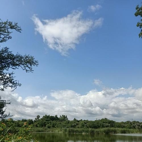 Photo #4949382