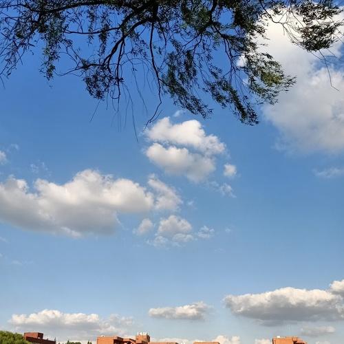 Photo #4949386