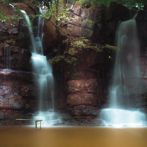 Photo #4949541