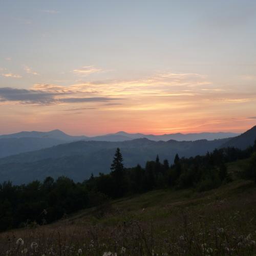 Photo #4950173