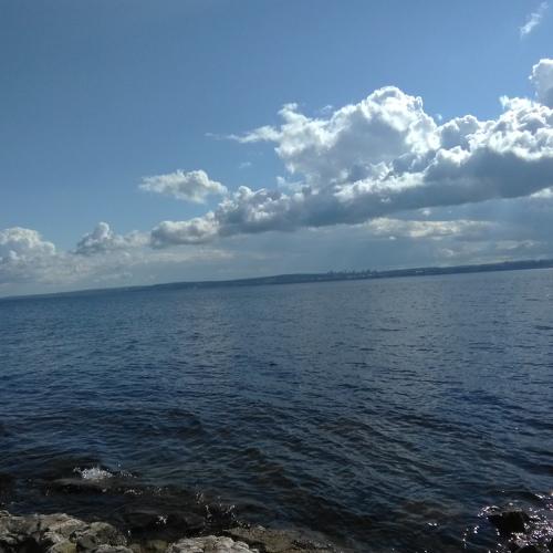 Photo #4950402