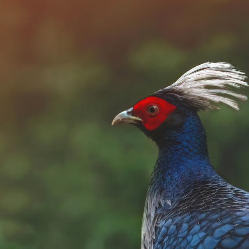 Photo #4950551