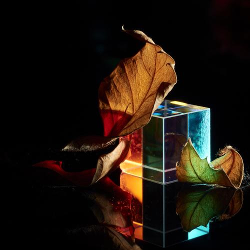 Photo #4950791