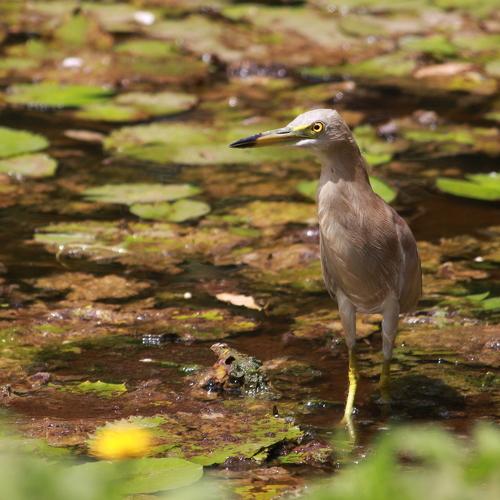 Photo #4951054
