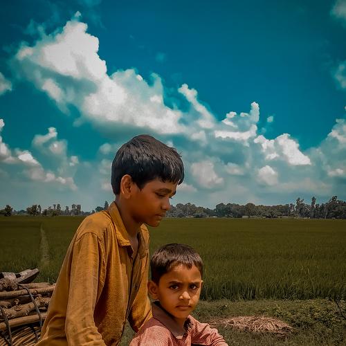Photo #4951103