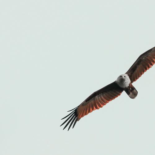 Photo #4951407