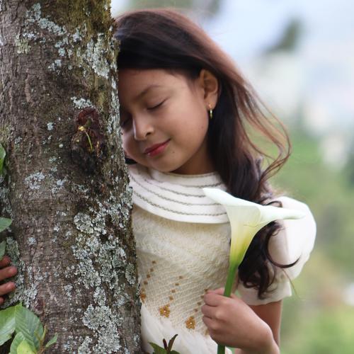Hugging a tree