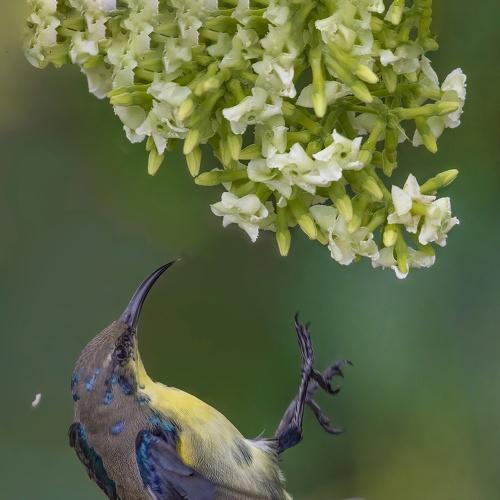 Photo #4952343