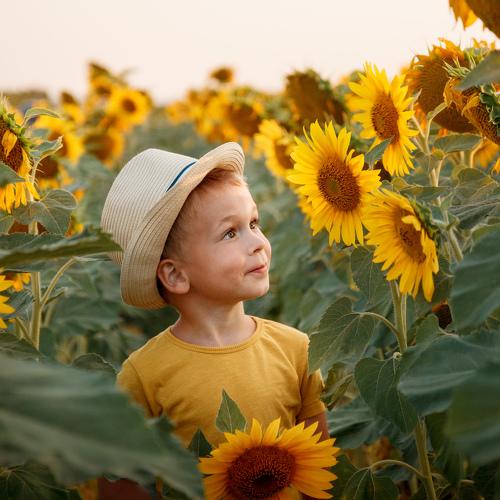 Photo #4952708