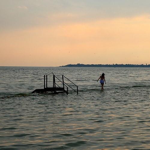 Photo #4952857