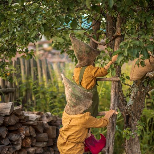 Photo #4952884
