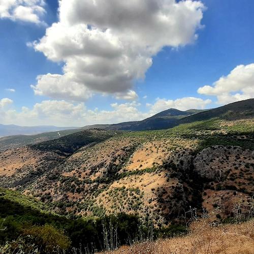 Photo #4953070