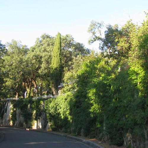 Photo #4953092