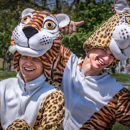 Photo #4953466