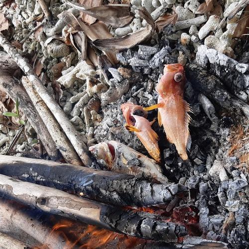 Burnt Fish