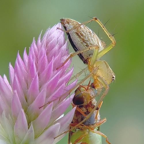 Photo #4953703