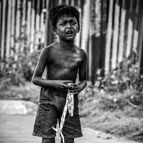 Photo #4953883