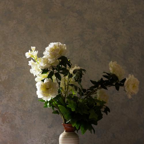 Photo #4953886