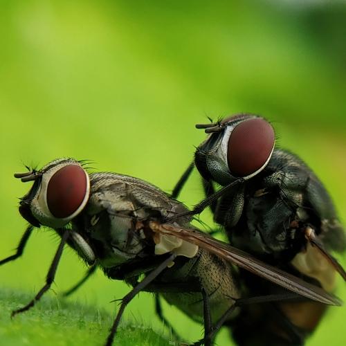 Photo #4954105