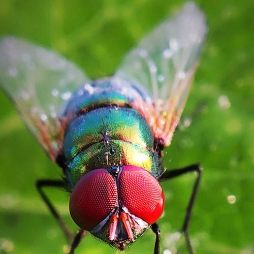 Photo #4954174