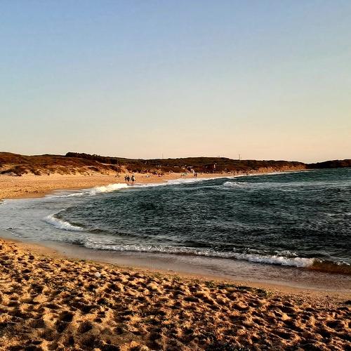 Photo #4954261