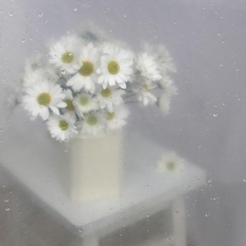 Photo #4954351