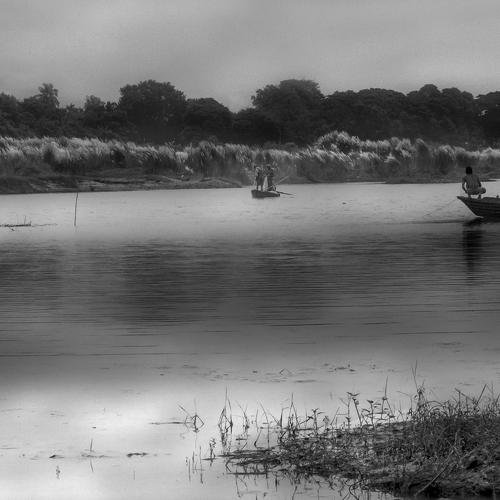 Photo #4954406